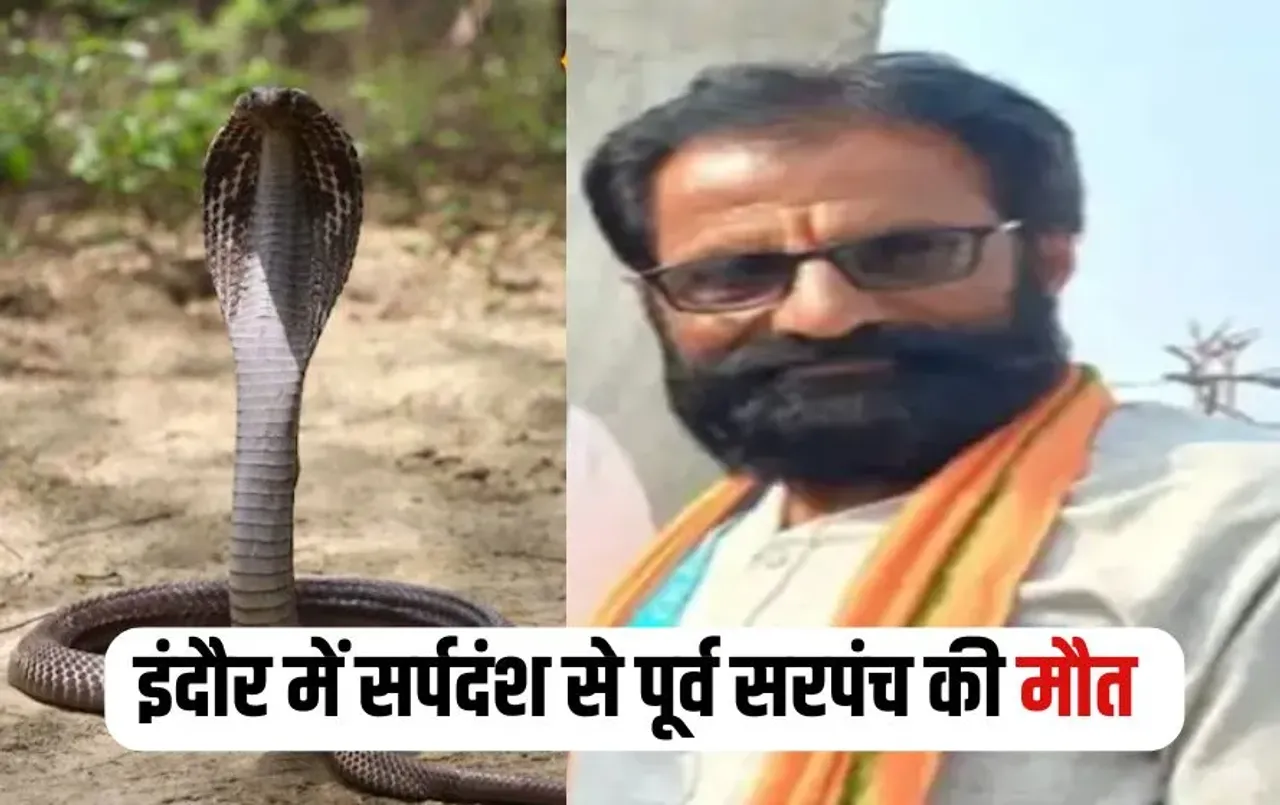 Indore Sarpanch Snake Bite Death