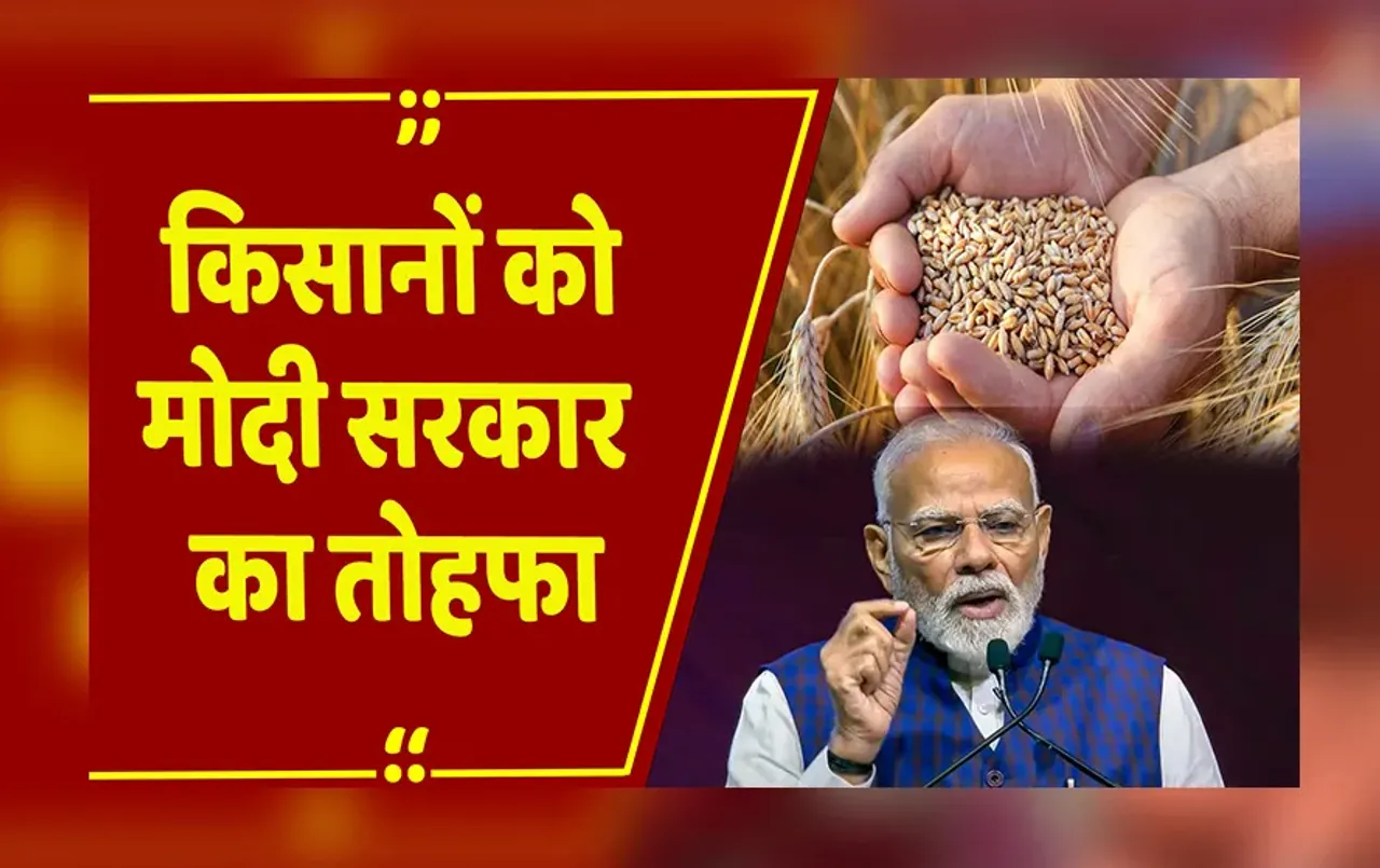 MSP Hike :  दिवाली से पहले किसानों को मोदी सरकार ने दिया बड़ा तोहफा, गेहूं का बढ़ाया MSP रेट