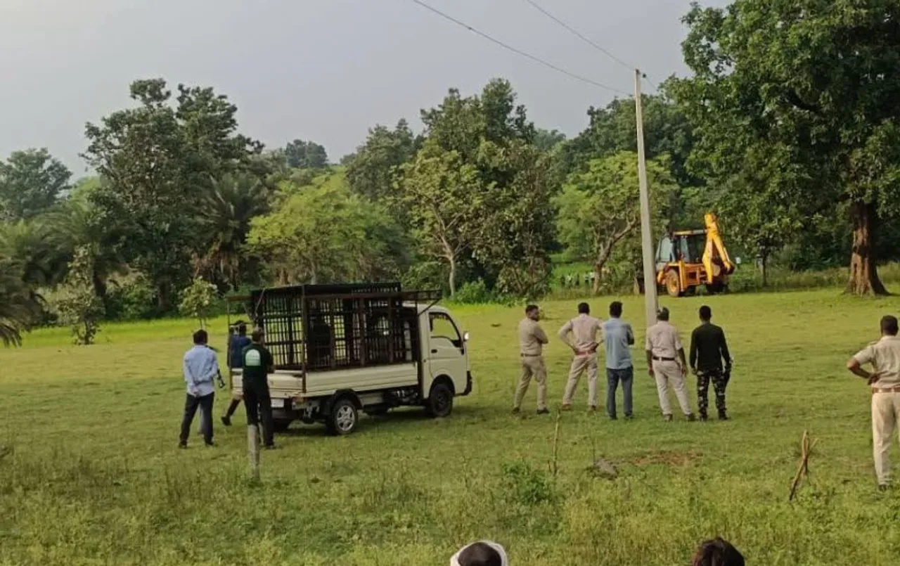 मरवाही के घायल भालू  का रेस्क्यू: लोगों ने भालू पर कुल्हाड़ी से किया वार, वन विभाग ने किया रेस्क्यू, इलाज जारी