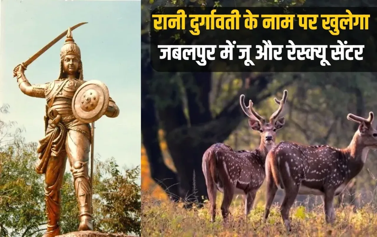 MP CM Mohan Yadav announced establishment Rani Durgavati Rescue Center Jabalpur zxc