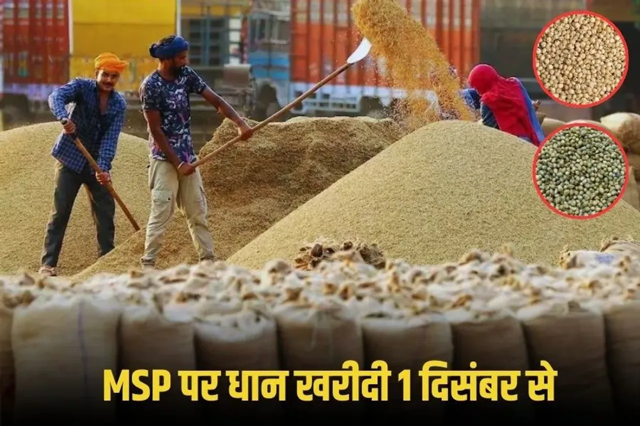 MP Dhan Kharidi 2025: 1 दिसंबर से धान खरीदी शुरू, समर्थन मूल्य पर उपार्जन नीति लागू, ज्वार और बाजरा की खरीदी इस दिन से