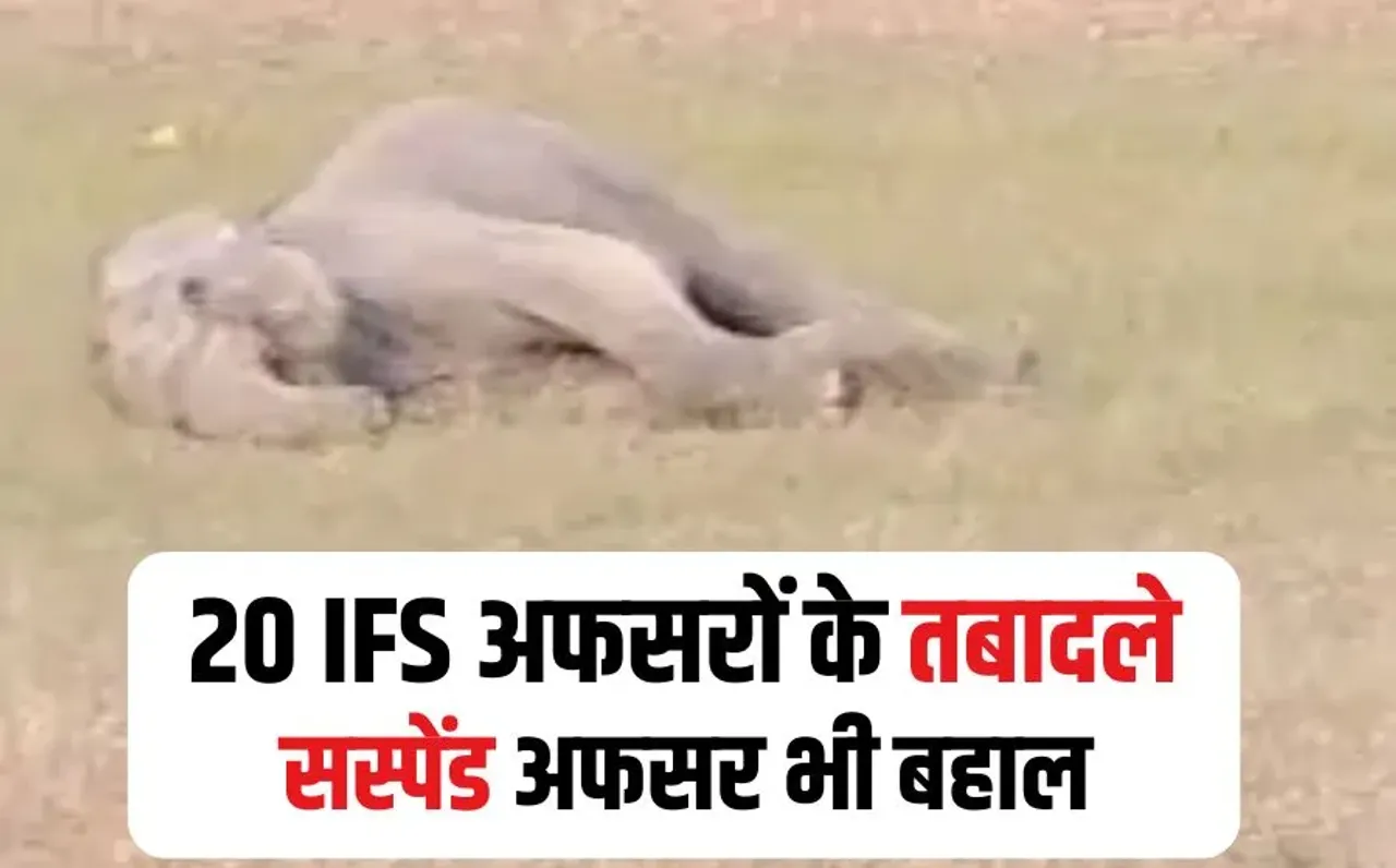 MP IFS Officer Transfer