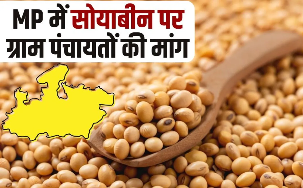 MP Soybean Procurement More than 2 thousand panchayats of Madhya Pradesh demanded to buy soybean for Rs 6000 thousand