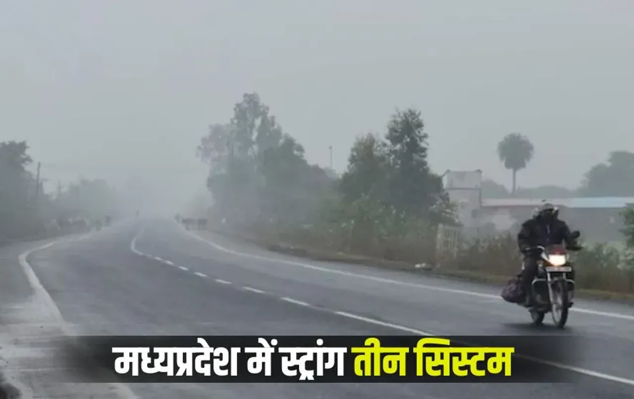 Bhopal Building Permission: भोपाल में अब हर निर्माणाधीन बिल्डिंग पर 'अनुमति का बोर्ड' अनिवार्य, बीएमसी का बड़ा कदम