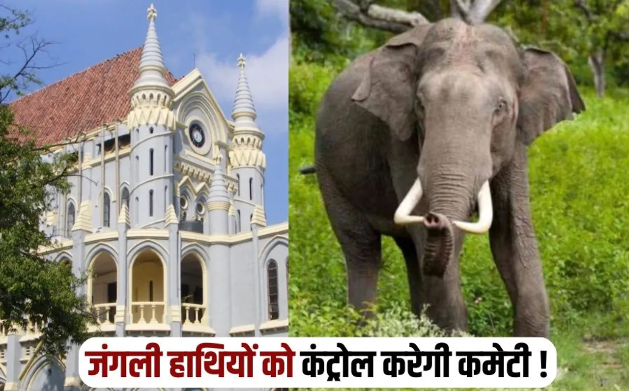MP Wild Elephant Control Expert Committee High Court