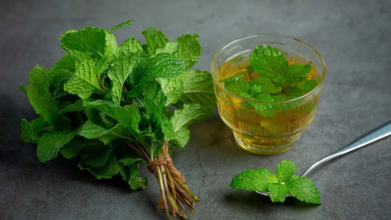 Mint Leaf Benefits