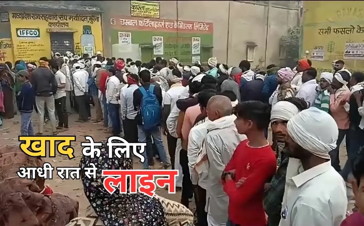 Morena DAP fertilizer shortage