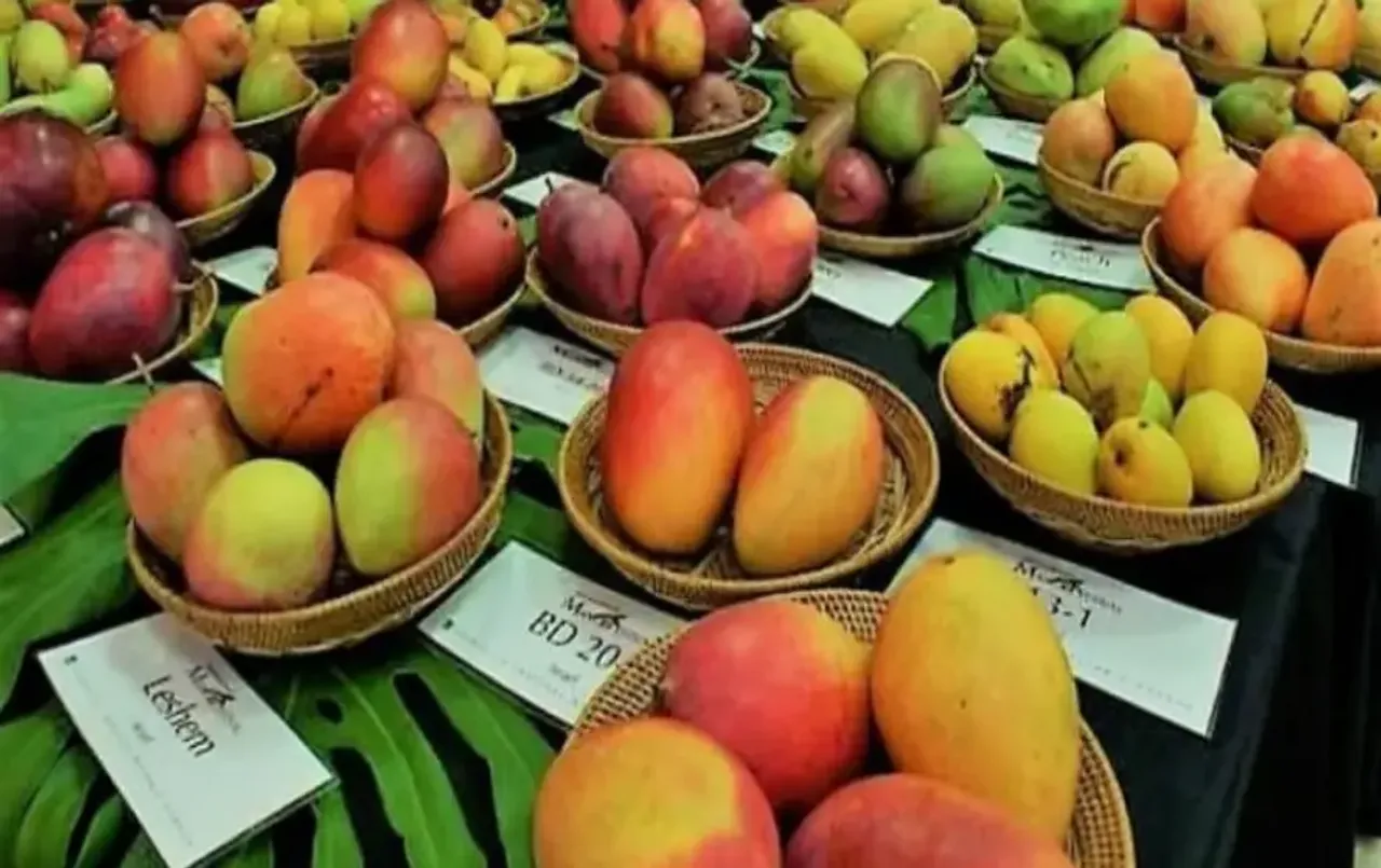 National Mango Festival