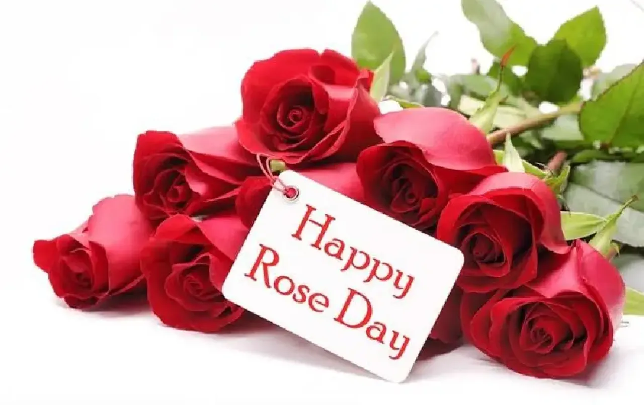 Rose Day 2025