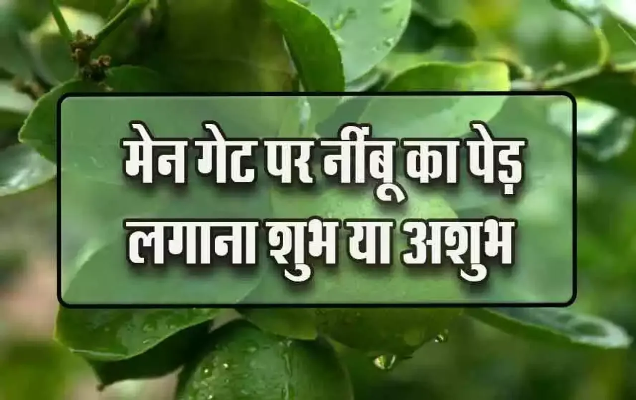 Plants-Vastu-Tips