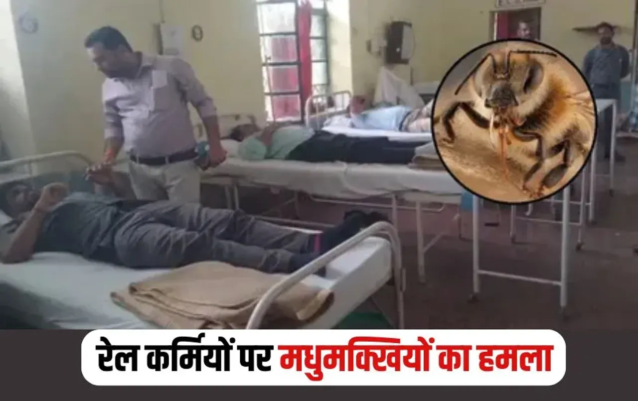 Railway Employees Bees Attack