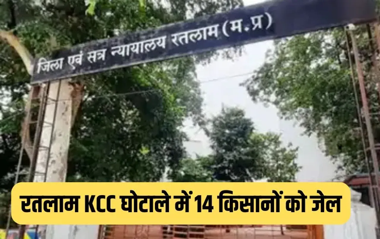 Ratlam KCC Loan Fraud Case
