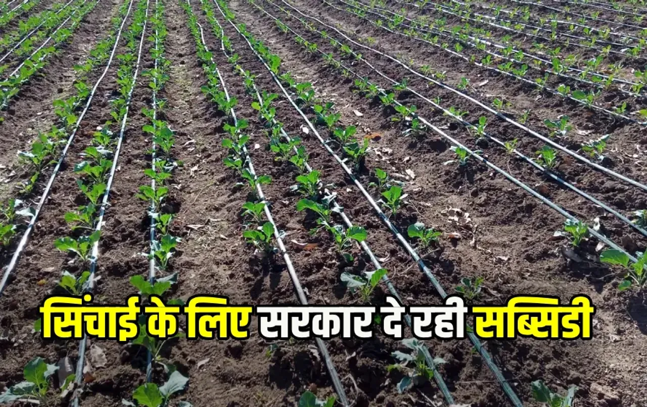 CG Drip Irrigation System