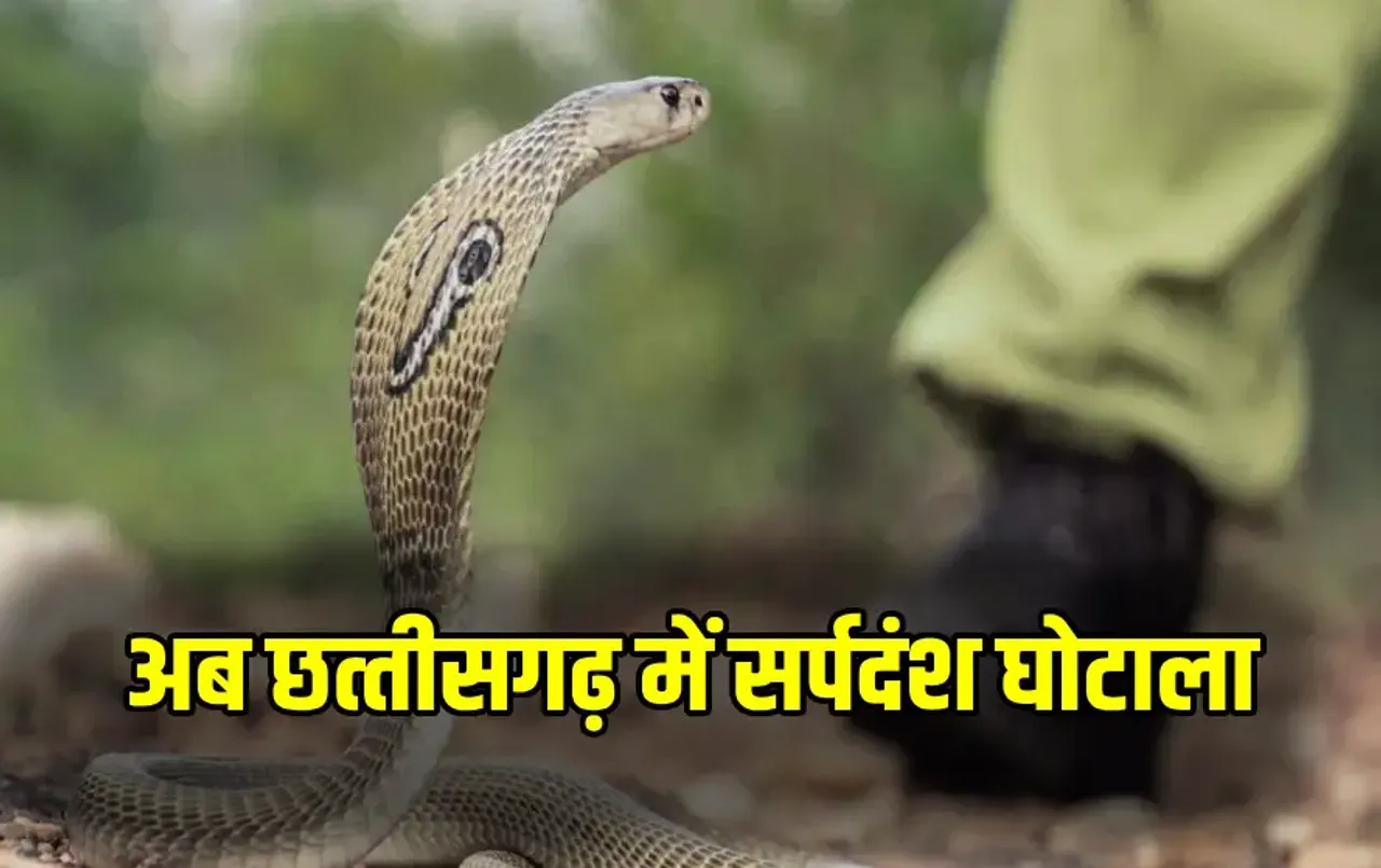 Snakebite Compensation Scam