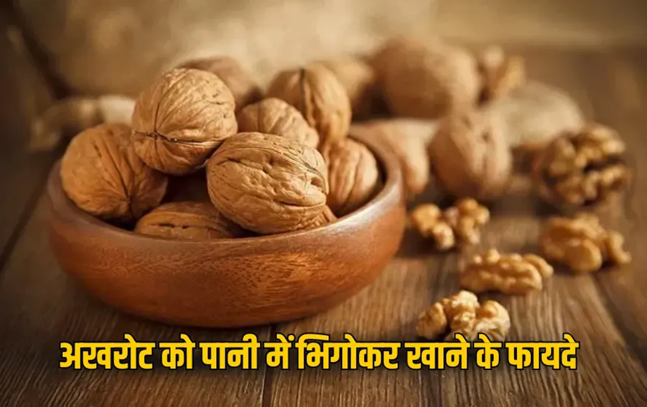Walnuts Health Benefits: अखरोट को पानी में भिगोकर खाने के हैं चमत्कारी फायदे, दिमाग, दिल और स्किन के लिए वरदान