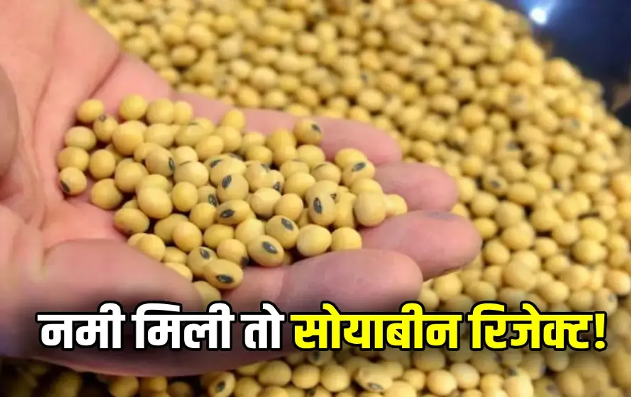 Strict Rules On Soybean Purchase