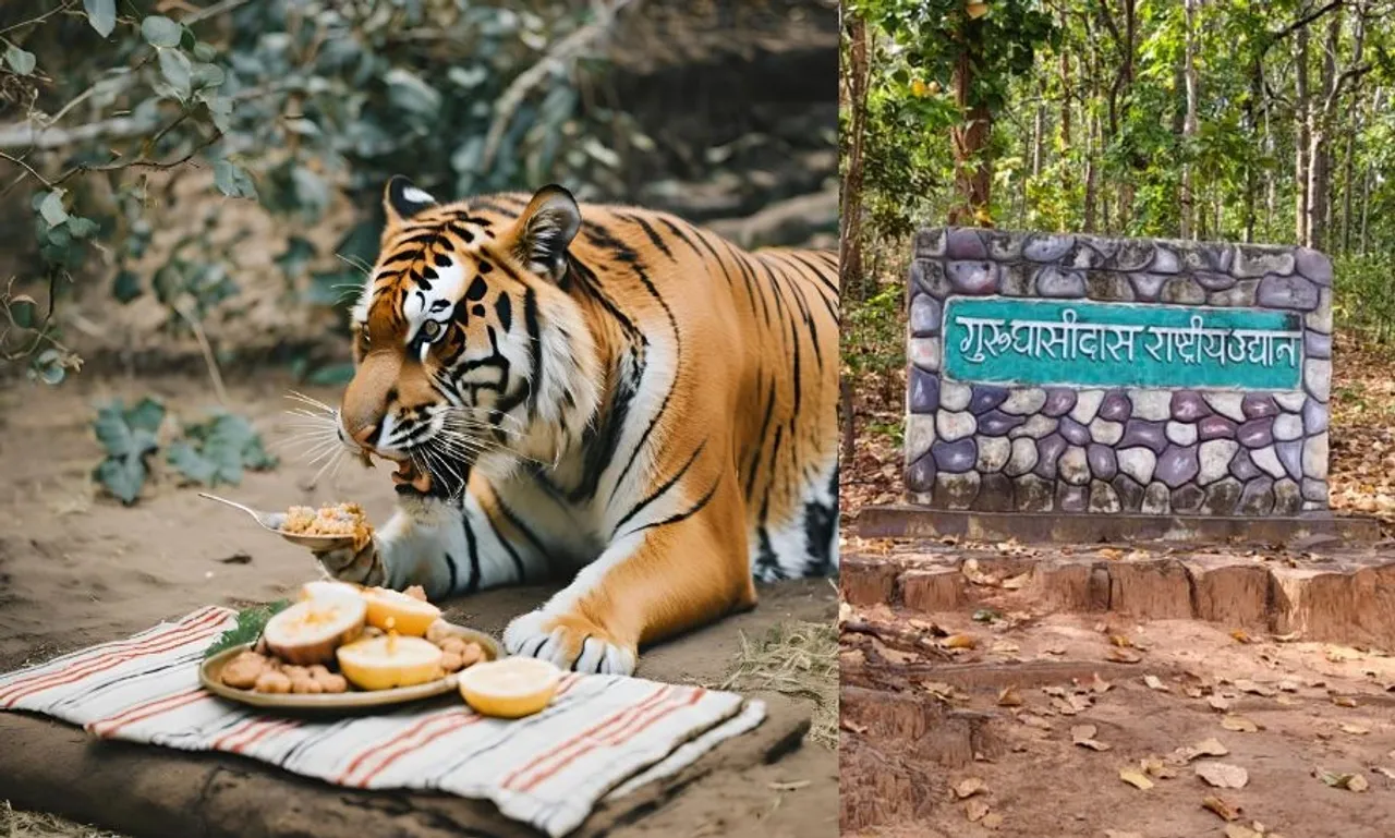 जहर खाने से हुई थी बाघ की मौत: कोरिया जिले के सोनहत क्षेत्र में मिला था मृत, पोस्टमॉर्टम रिपोर्ट में हुआ खुलासा