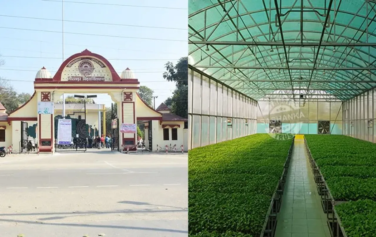 UP DDU Gorakhpur University high-tech nursery