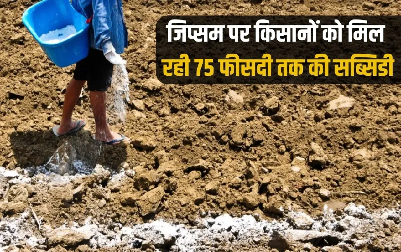 UP Government give 75 percent subsidy farmers Jipsum purchase zxc