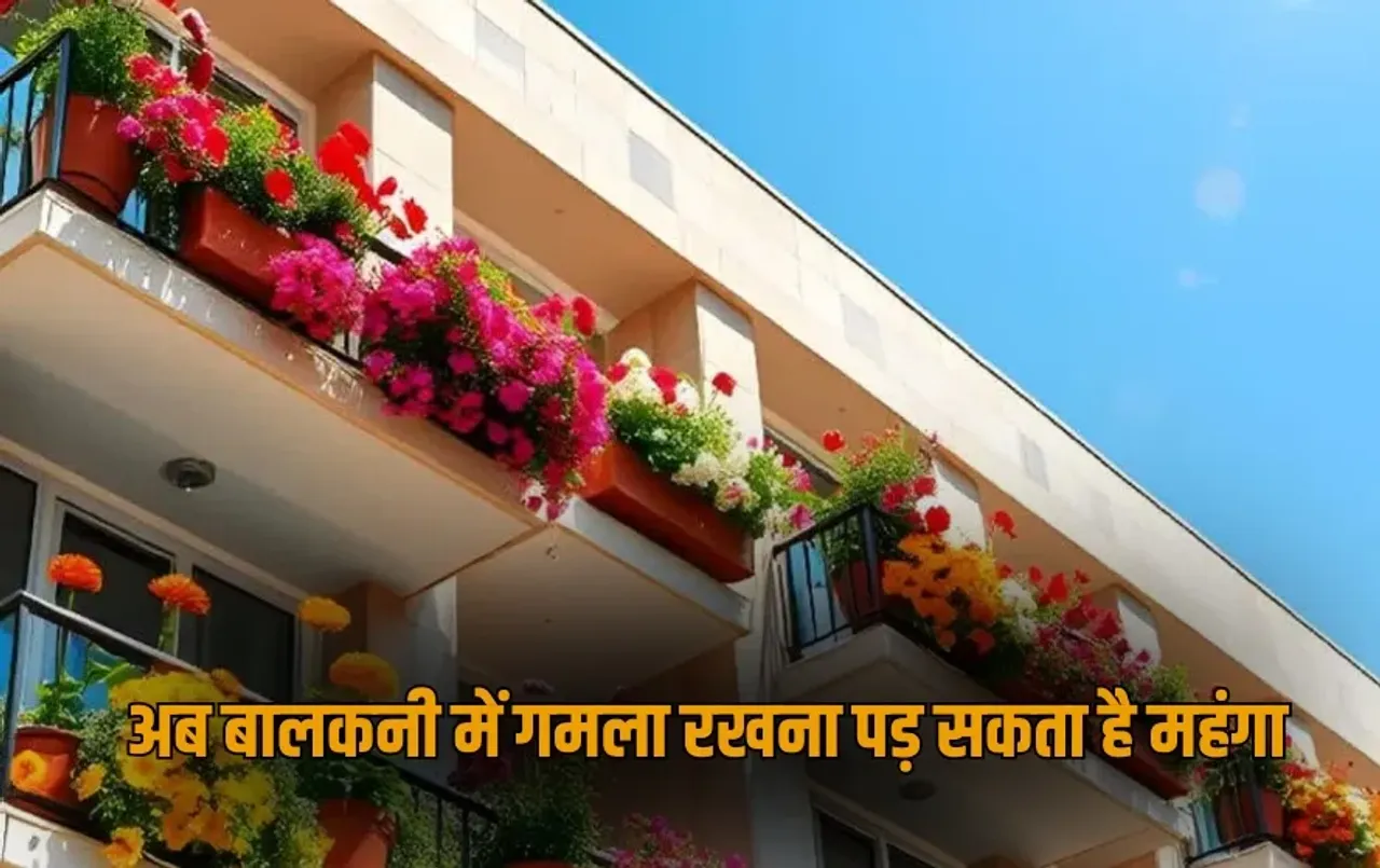 UP Lucknow keeping flower pots on blaconies banned LDA Order zxc