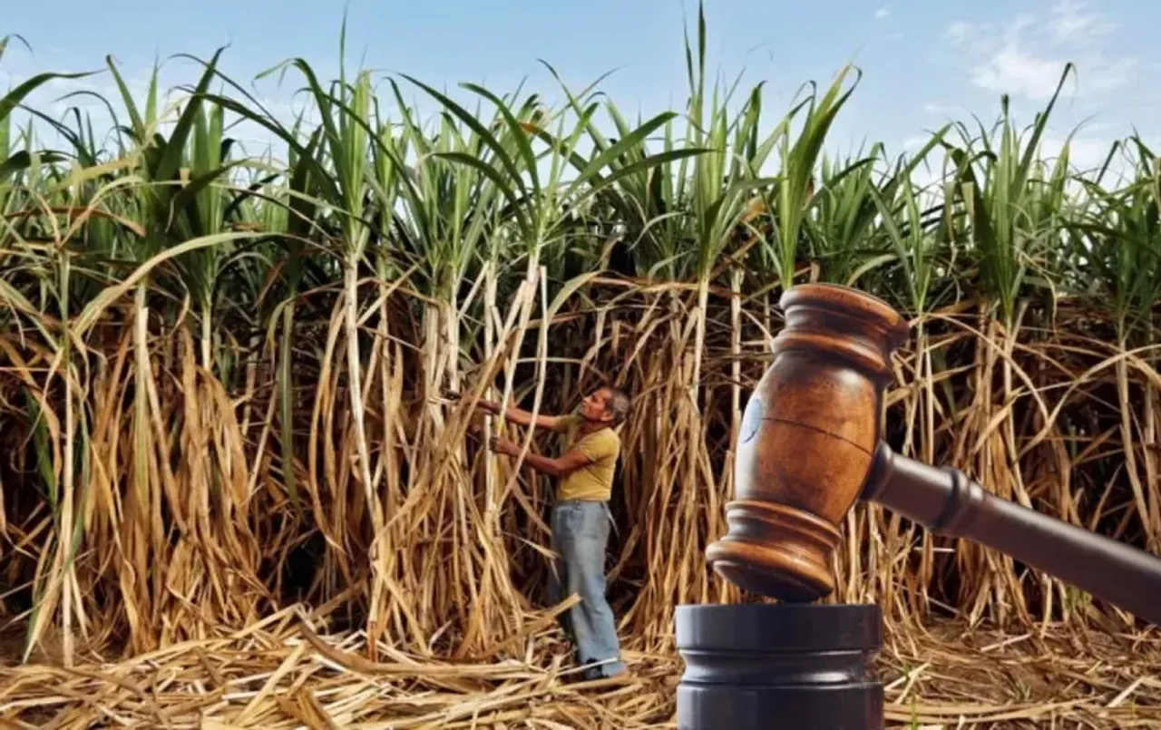 Allahabad High Court sought response UP Government Kesar Mill 170 crore arrears zxc