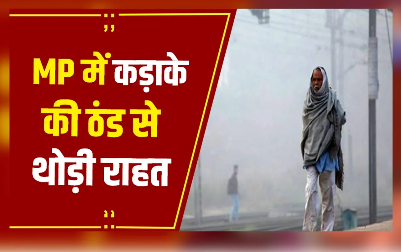 MP Weather Update: MP में  4 से 5 दिन तक ठंड से मिल सकती है थोड़ी राहत, ग्वालियर-चंबल में छाया कोहरा