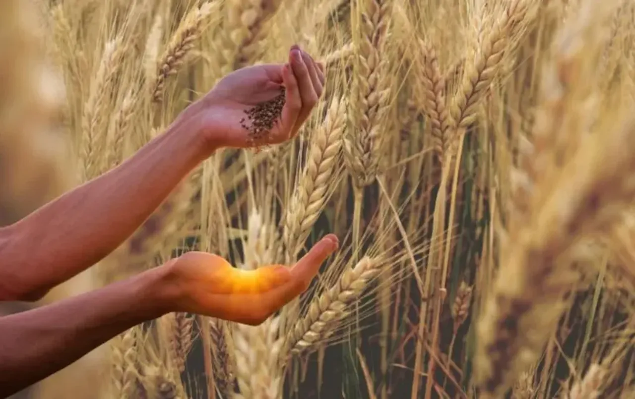 Varanasi Gehu Kharidi Growth Record Yogi Adityanath Farmer