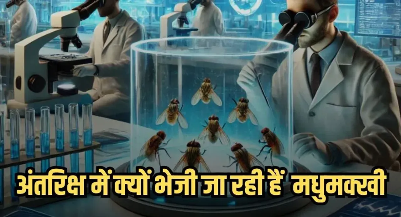 ISRO Gaganyaan Mission: ISRO के साइंटिस्ट अंतरिक्ष में क्यों भेज रहें  हैं मधुमक्खी ,जानें  इसकी खास वजह