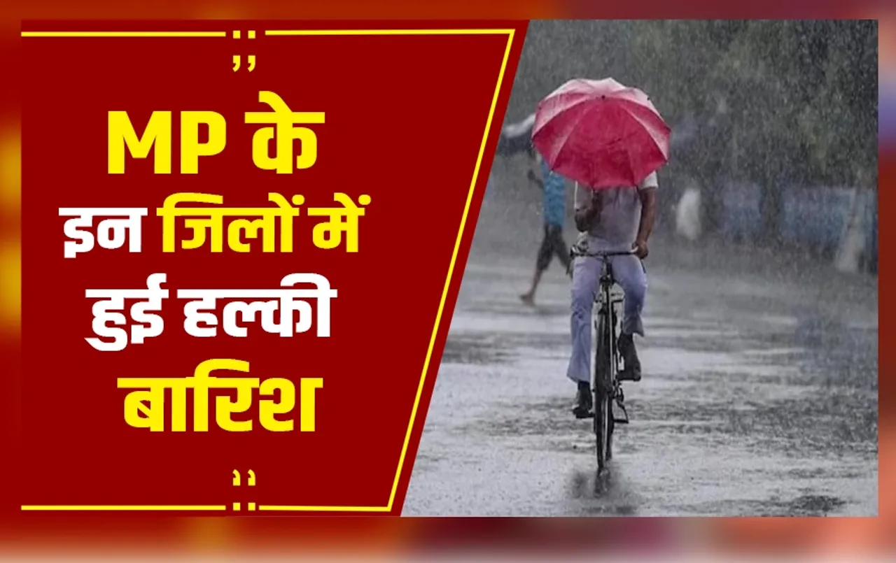 MP Weather Update: 24 घंटे में 10 से ज्यादा जिलों में हुई हल्की बारिश, ग्वालियर चंबल में छाया कोहरा