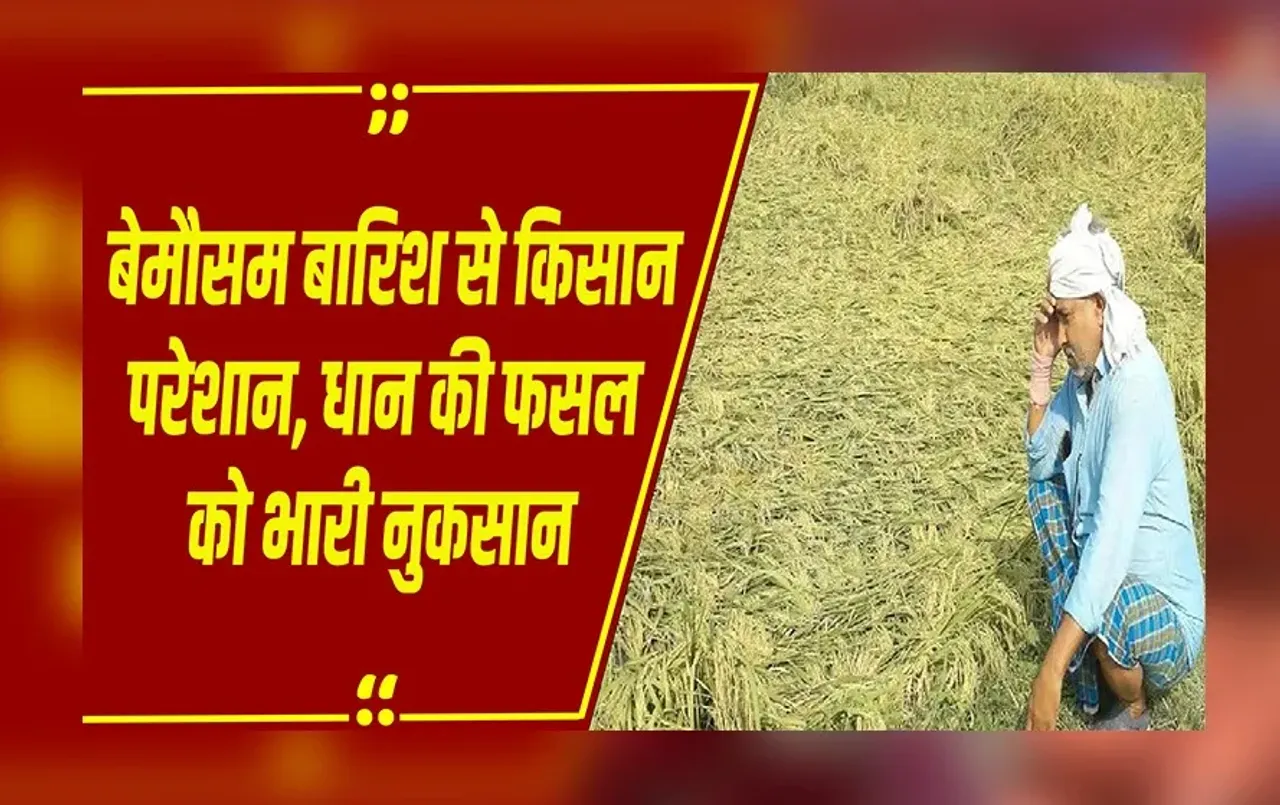 MP Weather: मध्यप्रदेश में बेमौसम बारिश का कहर, कई जिलों में फसलें बर्बाद, किसानों की बढ़ी चिंता