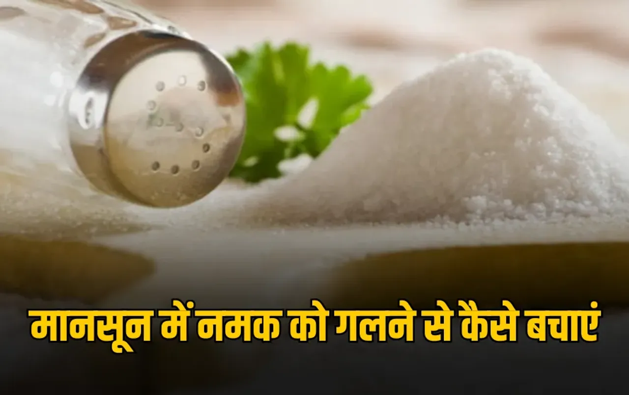 How To Keep Salt Dry: बारिश में नमक हो जाता है गीला? तो अपनाएं ये 5 देसी घरेलू उपाय