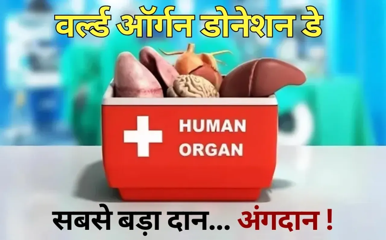 World Organ Donation Day Cadaver Transplant donate kidney hindi news