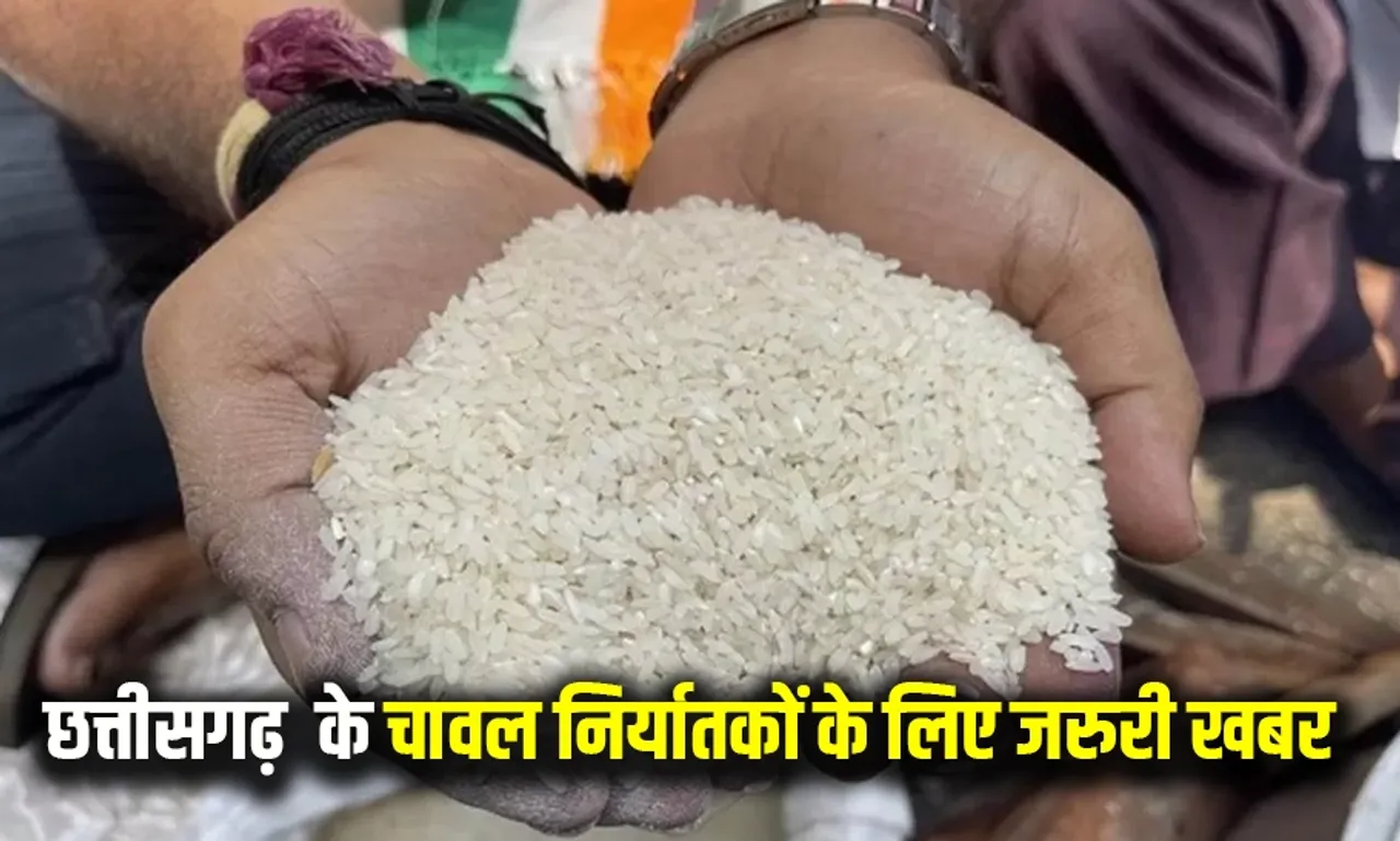 Good News for CG Rice Exporters