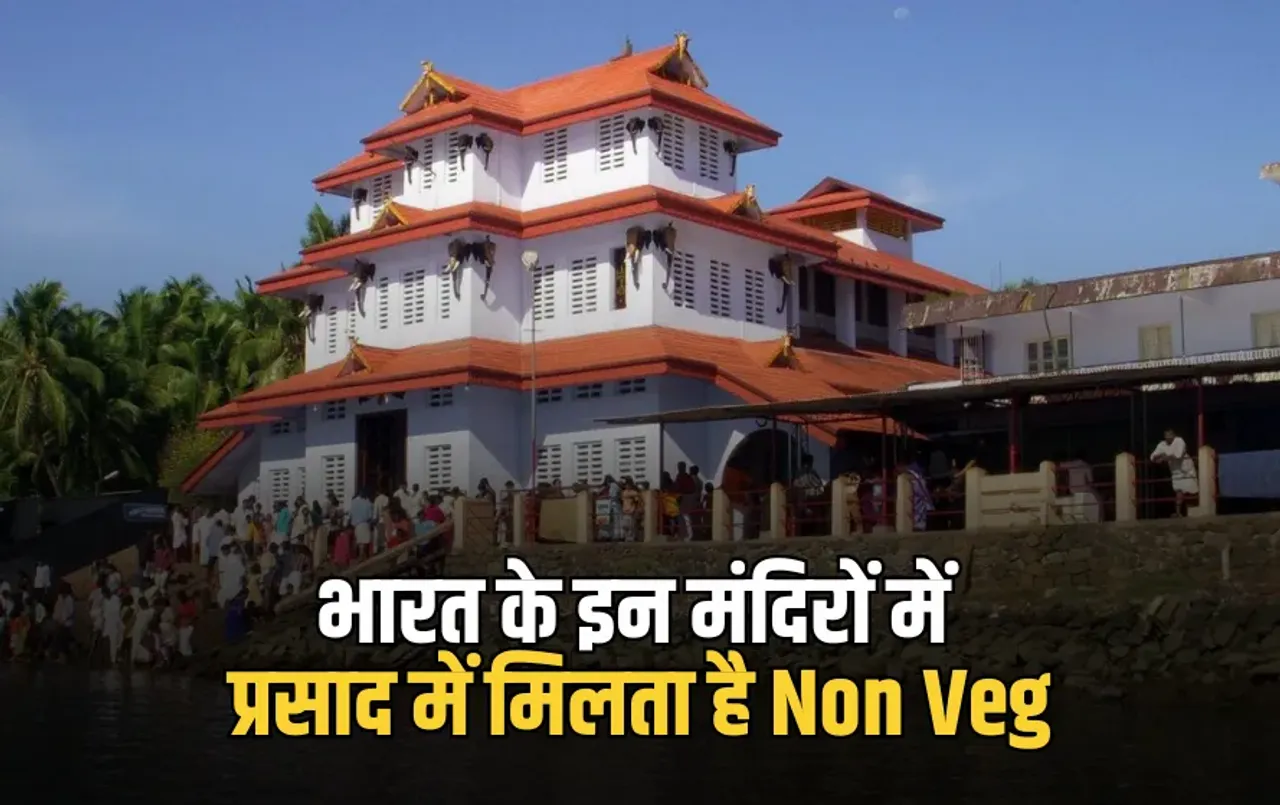 Indore DJ New Rule: बोर्ड परीक्षाओं के चलते इंदौर कलेक्टर का बड़ा आदेश, इतने बजे के बाद नहीं बजा पाएंगे DJ