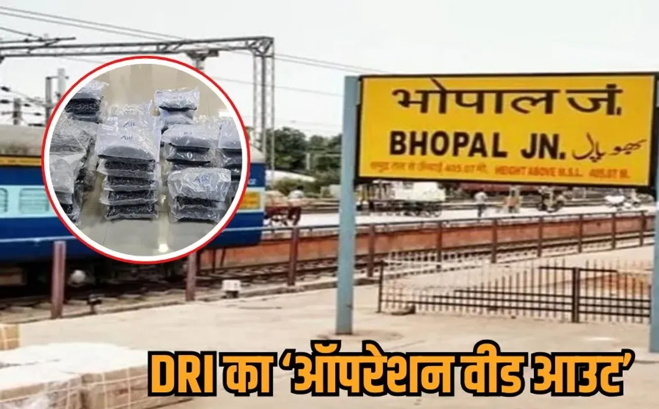 Bhopal Hydroponic Weed Drug: भोपाल रेलवे स्टेशन से 24 किलो हाइड्रोपोनिक गांजा बरामद, कीमत 72 करोड़, मास्टरमाइंड अरेस्ट