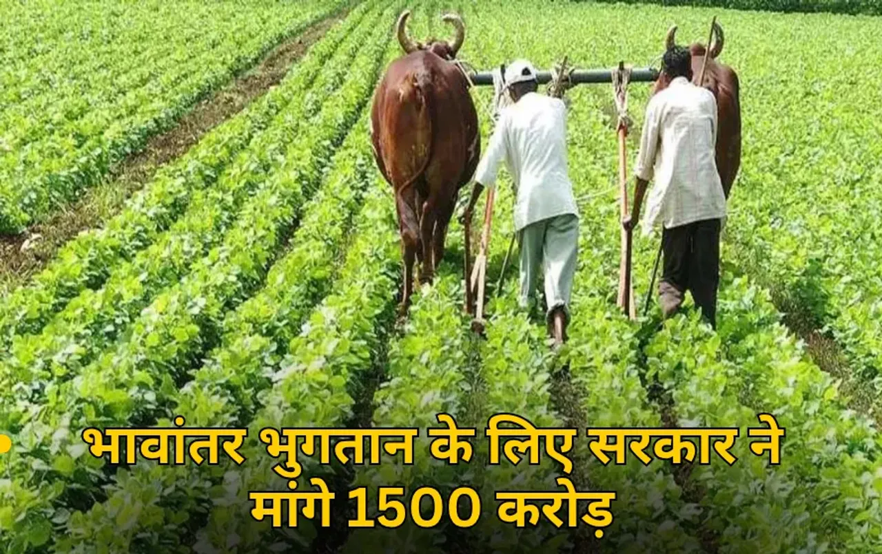 भावांतर में विवाद: सरकार ने मंडी बोर्ड से मांगे 1500 करोड़, मंत्री ने किया इनकार, आज से किसानों को देना है राशि