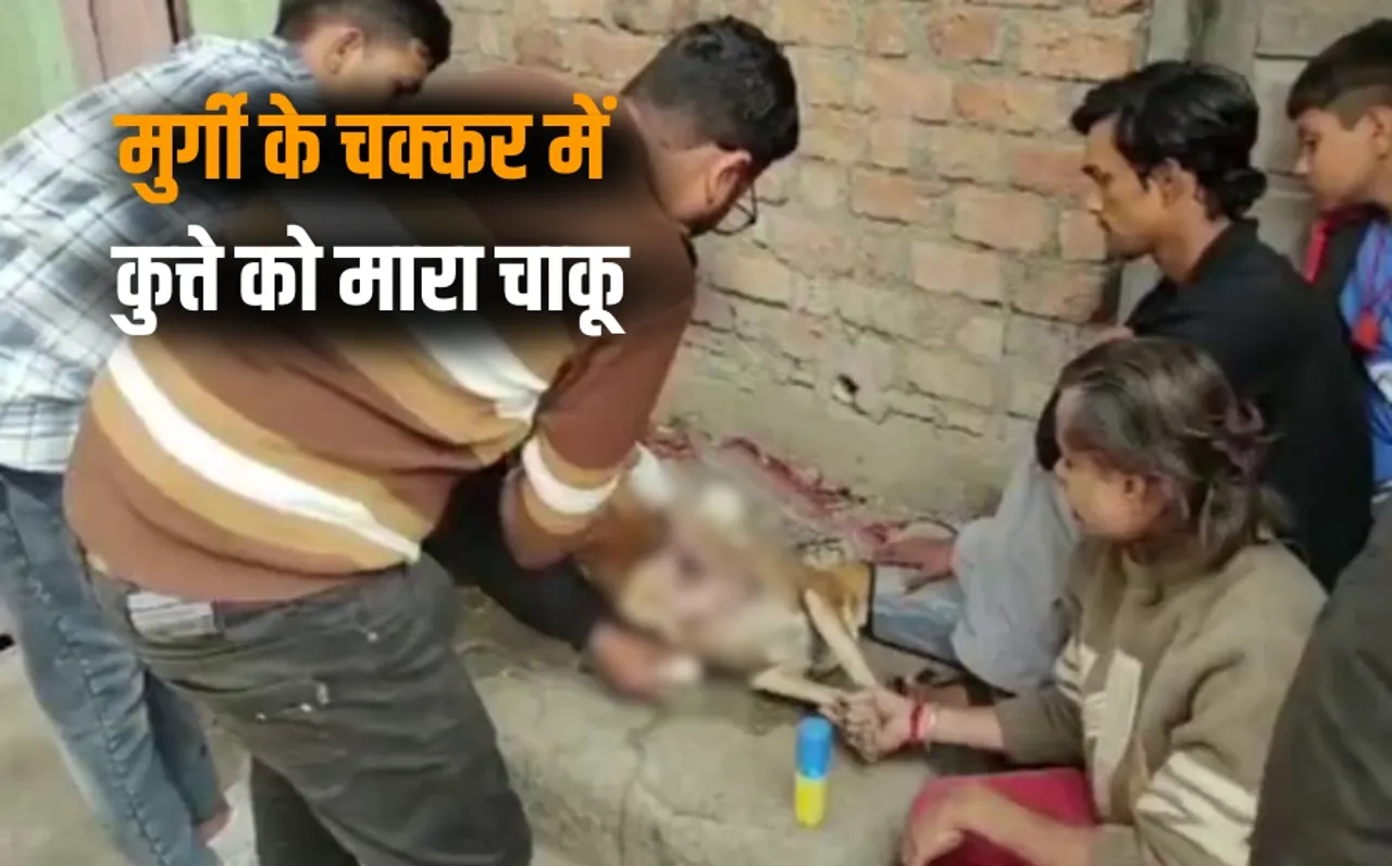 Ujjain Animal Cruelty Case