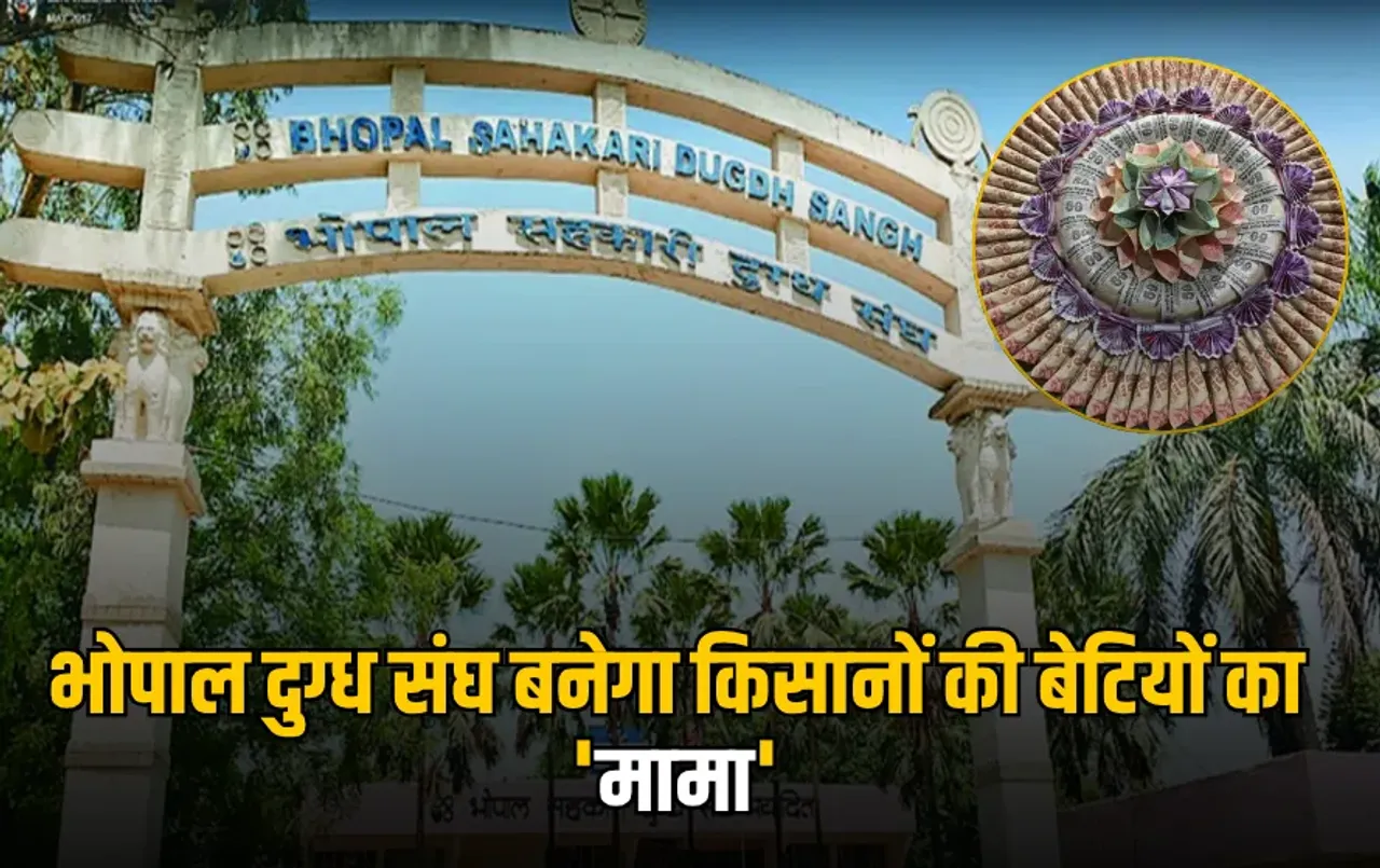 MP के इन किसानों को मिलेंगे ₹11 हजार: भोपाल दुग्ध संघ ने की नई योजना की शुरूआत, बेटियों की शादी में भेजेगा ‘मामेरा’