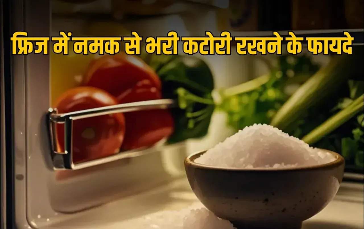 Salt Put in Fridge During Monsoon: बारिश में फ्रिज में होने लगी है नमी, तो अपनाएं ये घरेलू उपाय, होंगे कई फायदे