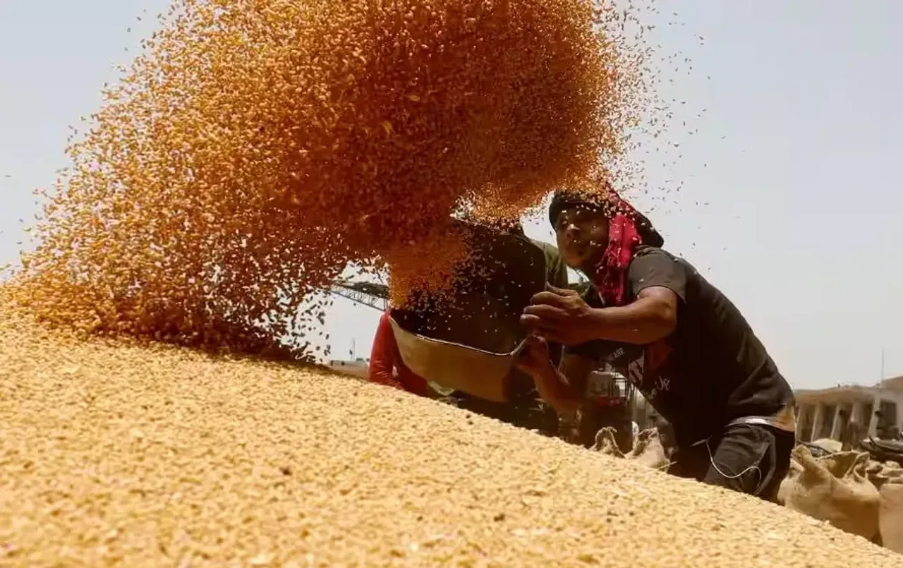गेहूं खरीदी की तैयारियां पूरी।