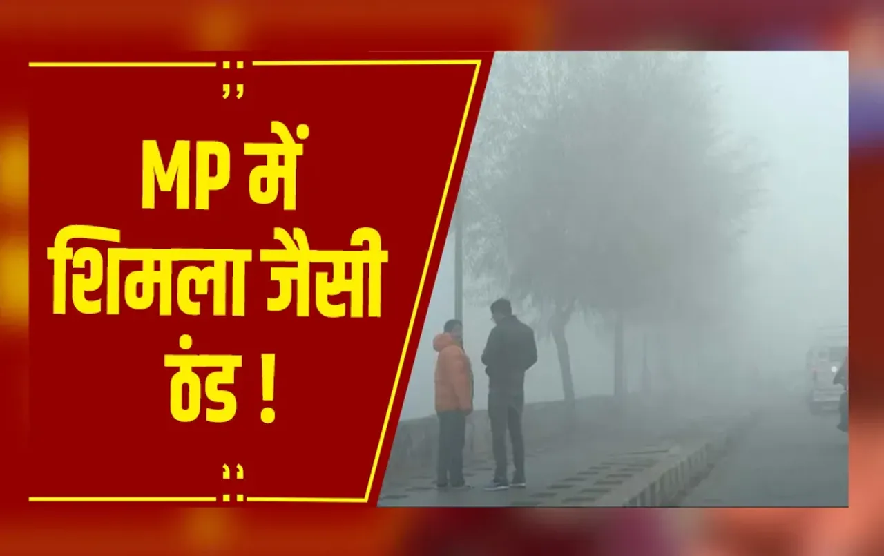 MP Weather : MP में शिमला जैसी ठंड, 23 जिलों में सीवियर कोल्ड वेव अलर्ट जारी