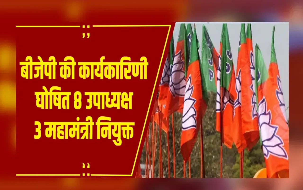 Raipur : बीजेपी की कार्यकारिणी घोषित, 8 प्रदेश उपाध्यक्ष, 3 महामंत्रियों की नियुक्ति