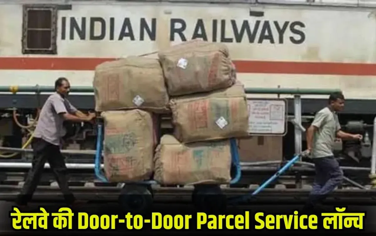 आवारा कुत्तों को लेकर SC का बड़ा आदेश: जहां से पकड़ें वहीं न छोड़ें, नसबंदी करके शेल्टर होम में रखने के निर्देश