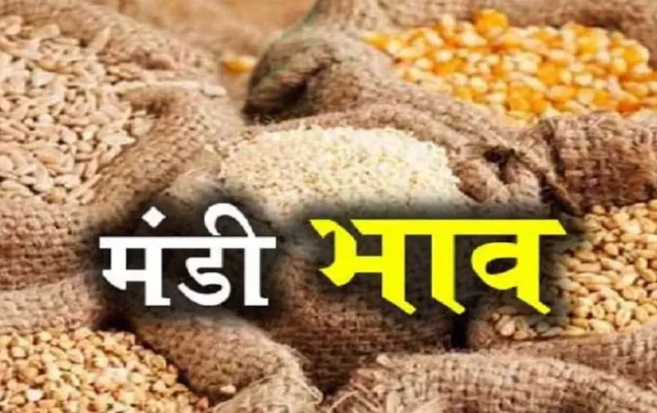 Indore Mandi Bhav: किसानों के लिए गुड न्यूज, हल्दी के दाम में उछाल, जानिए इंदौर मंडी का ताजा भाव और बाजार का हाल