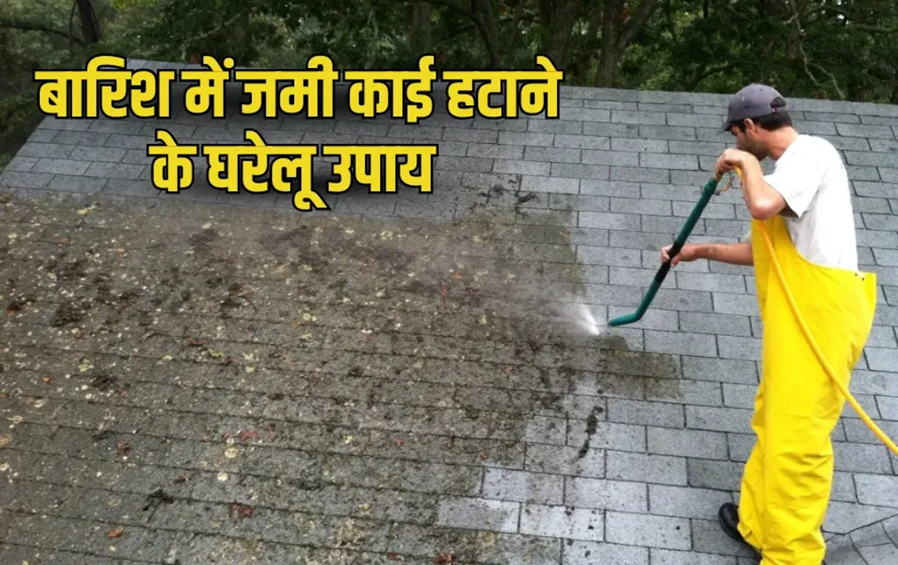 Barish Me Kai Hatane Ke Upay:बारिश में दीवारों, सीढ़ियों और छत पर जम गई है काई? छुटकारा पाने के लिए अपनाएं ये घरेलू उपाय