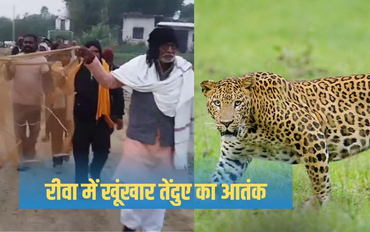 MP News: एमपी के इस गांव में आदमखोर तेंदुए की दहशत, ड्रोन से हो रही निगरानी, जाल लेकर जंगल पहुंचे भाजपा नेता