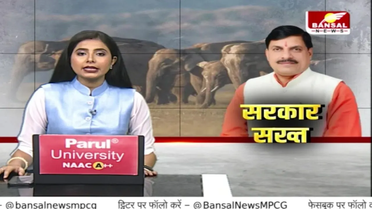 MP Govt: 10 हाथियों की मौत के बाद सरकार का फैसला, फील्ड डायरेक्टर और प्रभारी ACF को किया निलंबित
