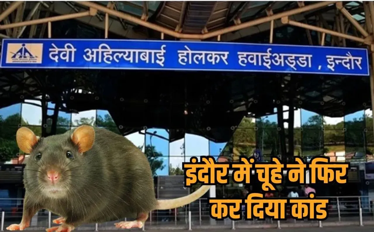 Indore Airport Rat Bite: इंदौर एयरपोर्ट पर पैंसेजर की पैंट में घुसा चूहा, पैर पर काटा, नहीं मिली मेडिकल मदद, जानें मामला