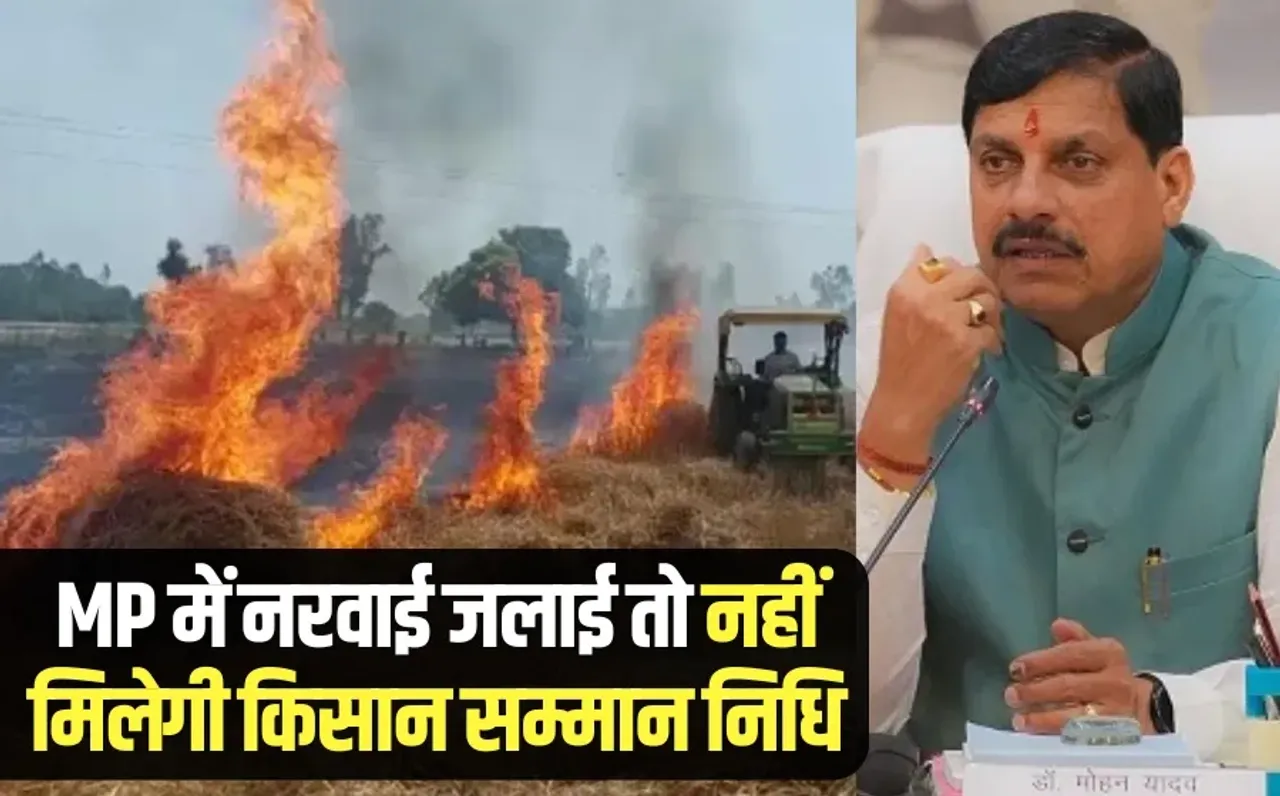 mp me narwai jalane wale kisano par action pm kisan samman nidhi msp cm mohan yadav