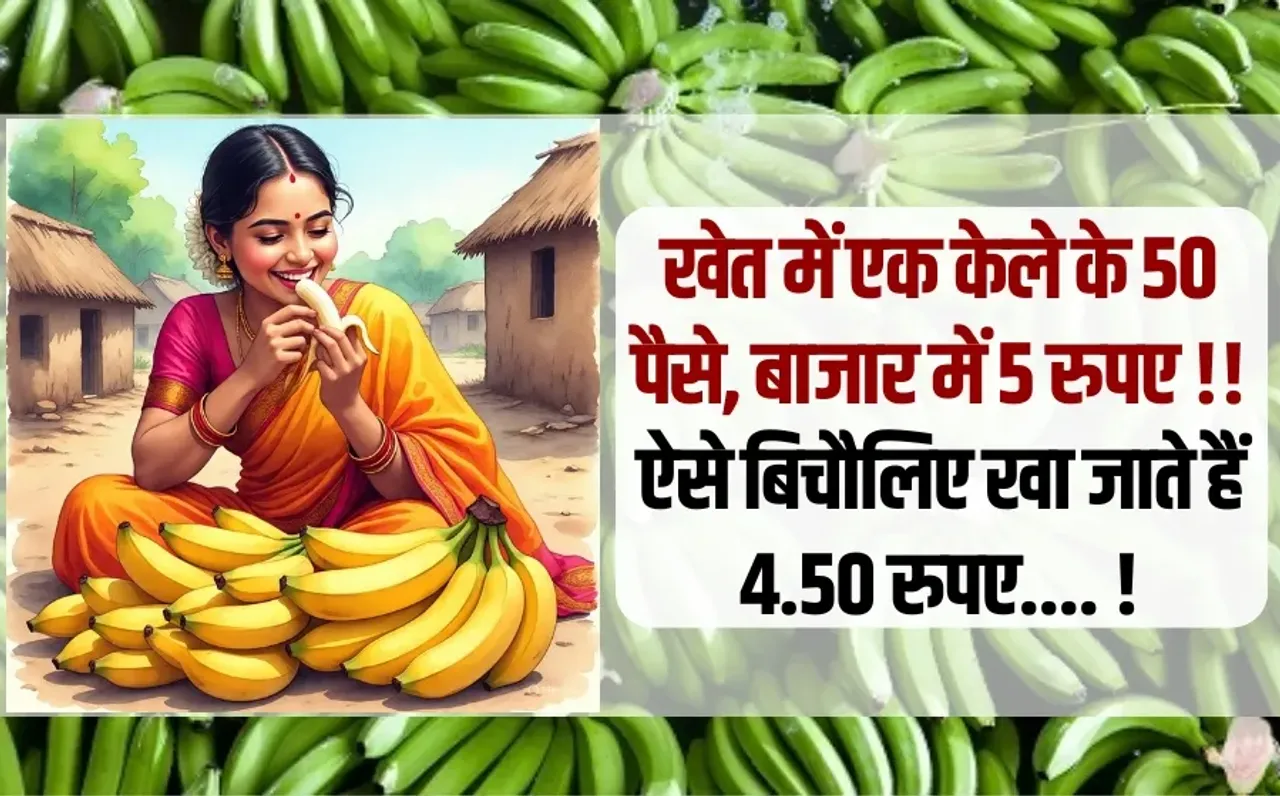 mp sasta kela update